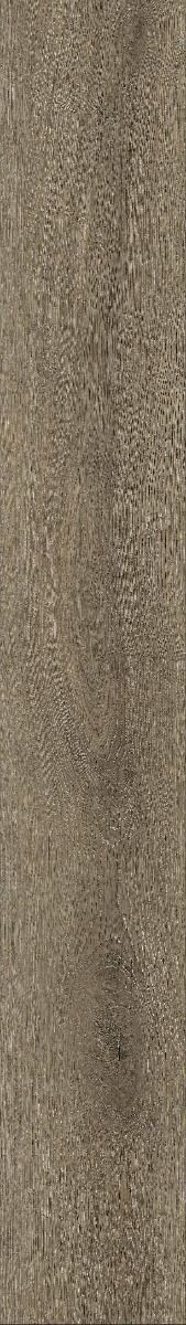 LT 22.6x152 เลซอร์ โอ๊ค CK05(4/0.3 mm)
