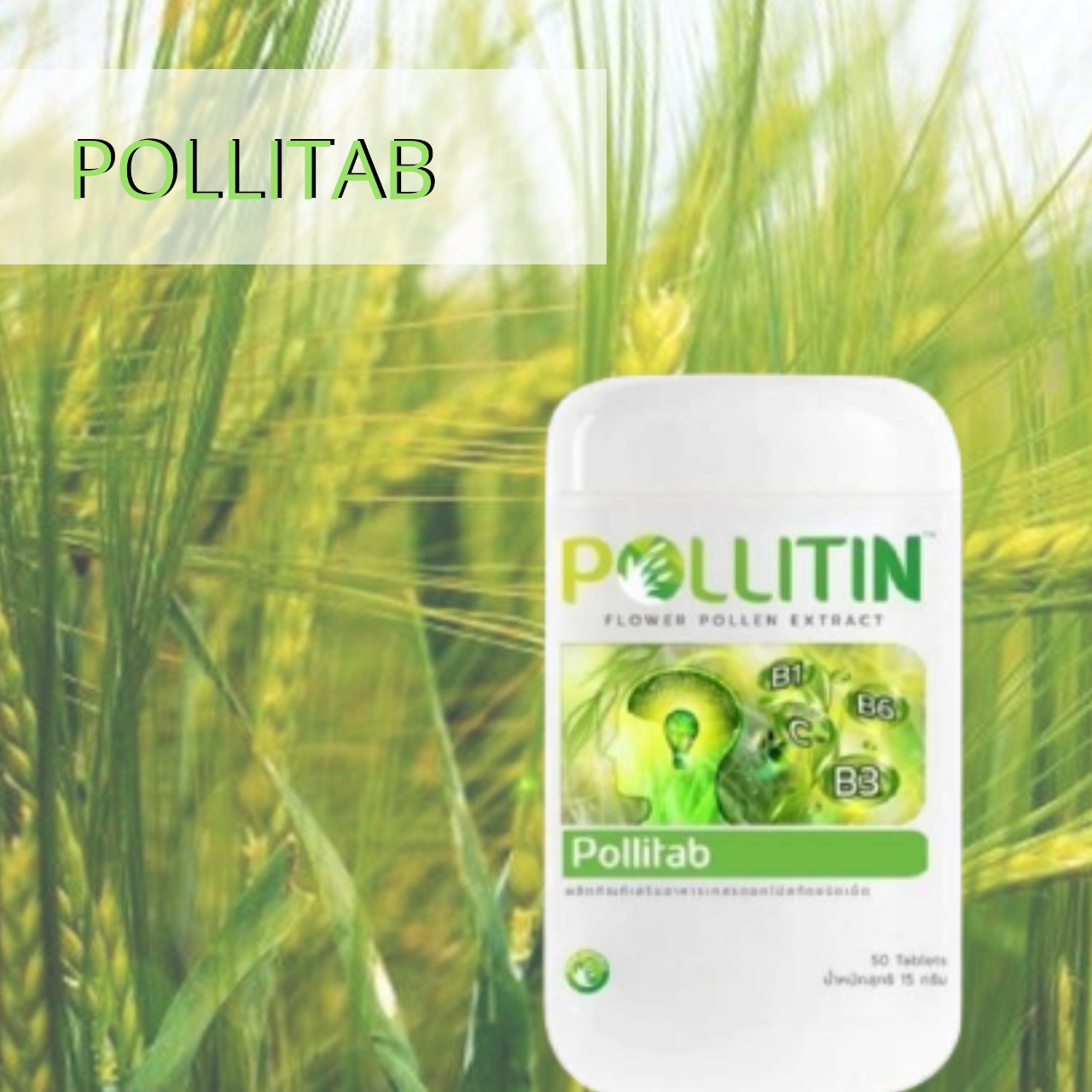 พอลลิติน พอลลิตันPollitin Pollitab พอลลิแทป(กระดูก,สายตา)