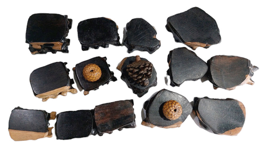 ฐานไม้มะเกลือแอฟริกันเล็กๆ--BPT931--