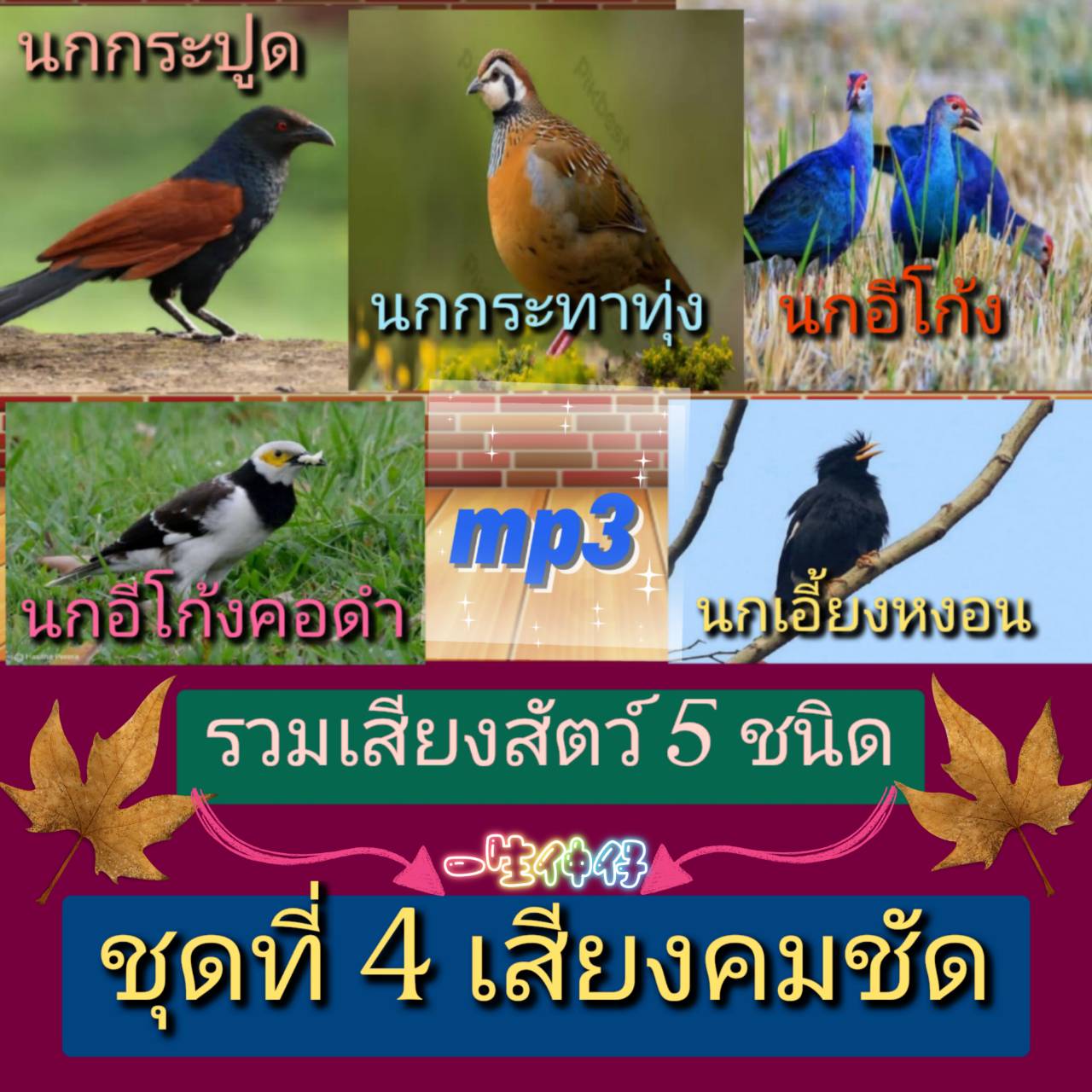 [พรเทวะ] แฟลชไดร์ฟ Mp3 รวมเสียงสัตว์ 5 ชนิด ชุดที่ 4 เสียงคมชัด ความยาวเสียงละ 1-2 ชั่วโมง 1.นกกระปูด 2. นกอีโก้ง 3.นกกระทาทุ่ง 4.นกกิ้งโครงคอดำ 5.นกเอี้ยงหงอน ใช้กับเครื่องเล่น USB/mp3 ทุกชนิดหรือเปิดฟังในรถยนต์เปิดในคอมพิวเตอร์ได้ *** สามารถ โหลดใส่มือถ