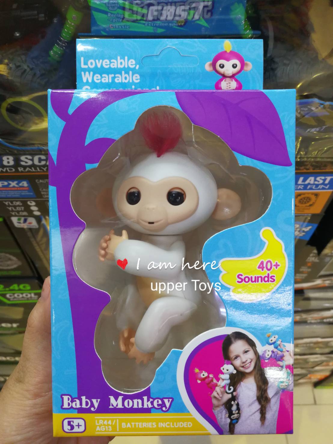 ลิงเกาะนิ้ว Fingerlings Baby Monkeys เกรด AA