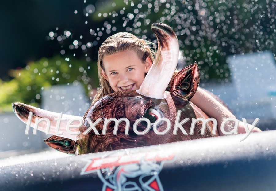 Intex 56280 แพยางกระทิง