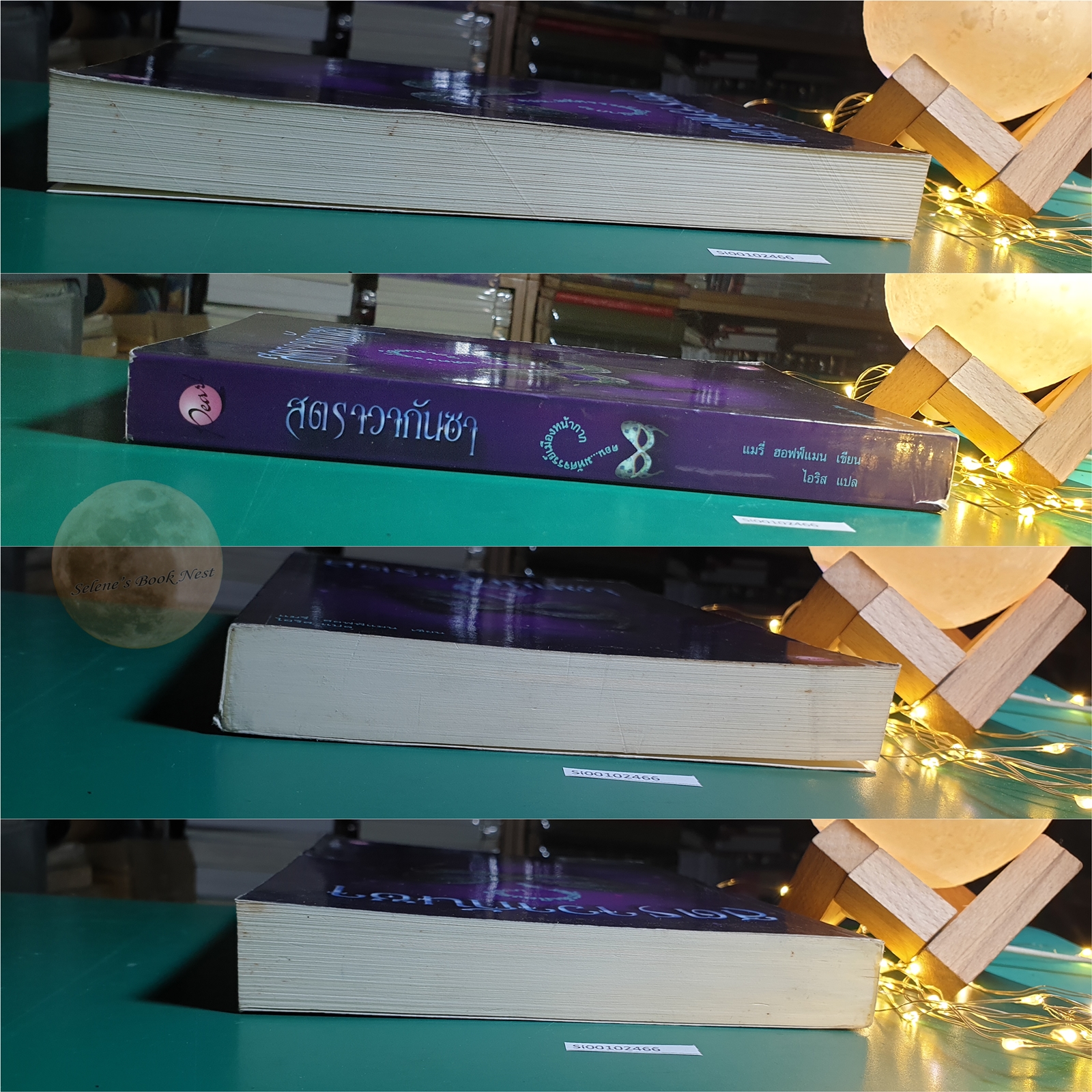 Stravaganza (สตราวากันซา) #1 ตอน มหัศจรรย์เมืองหน้ากาก (City of masks) / Mary Hoffman