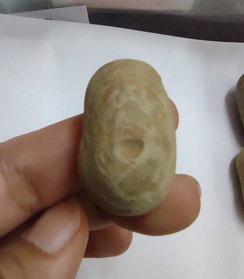 หมากไม้มณีโคตร ขนาด 3-4 ซม.(คละแบบคละขนาด)