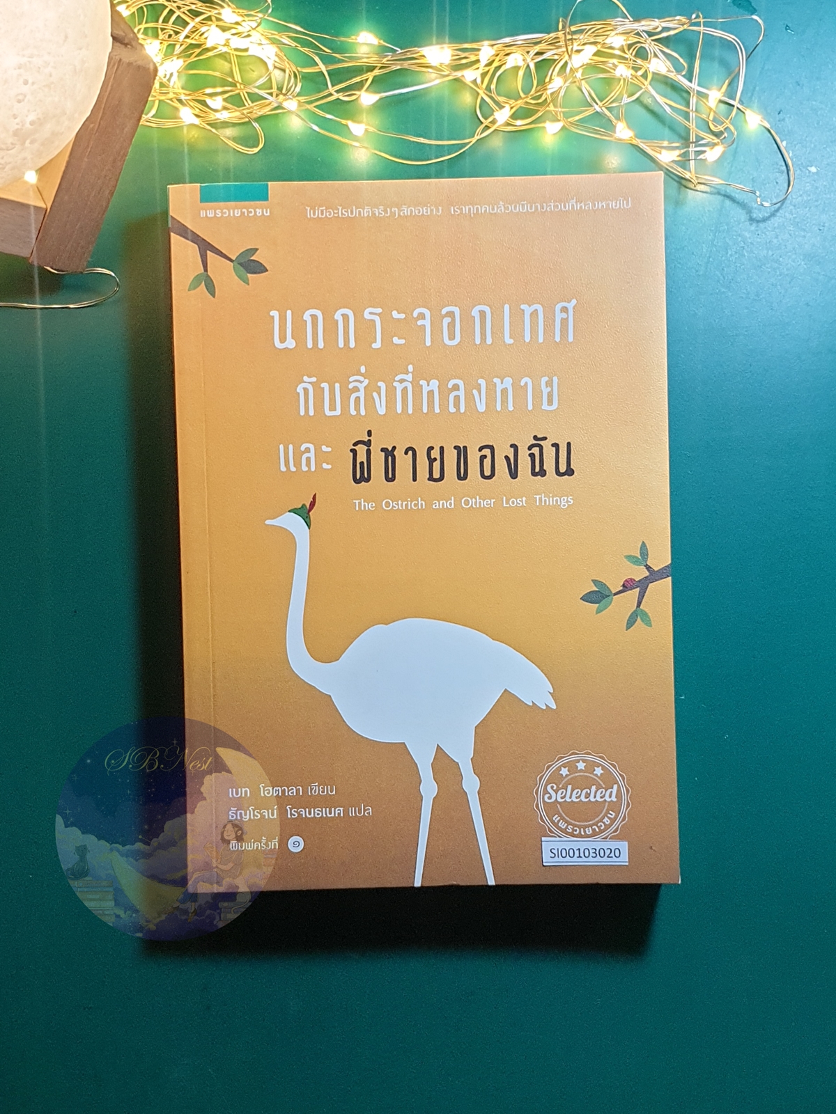 นกกระจอกเทศกับสิ่งที่หลงหายและพี่ชายของฉัน (The Ostrich and Other Lost Things) / Beth Hautala (เบท โฮตาลา)