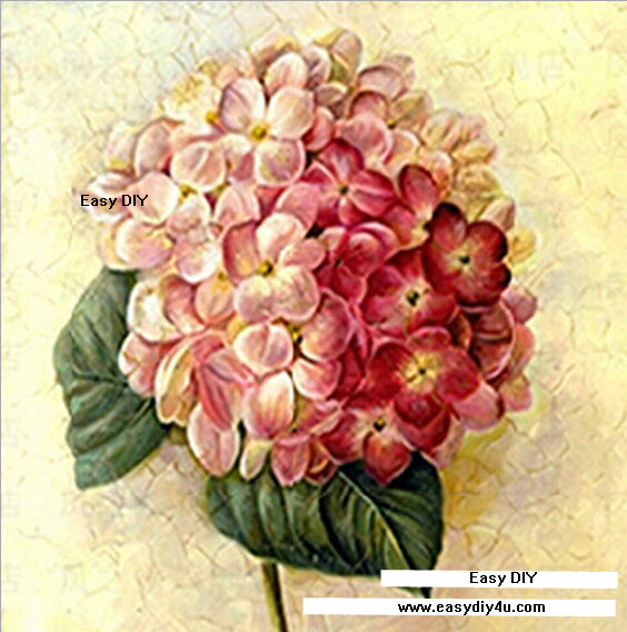 ภาพวาดดอกไฮเดรนเยีย