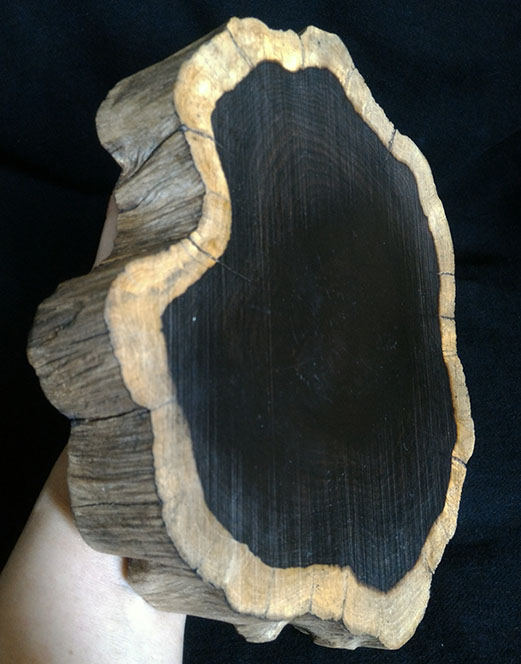 ฐานไม้มะเกลือ(African Ebony) หนา3cm แบบที่2(ตัวอย่าง)