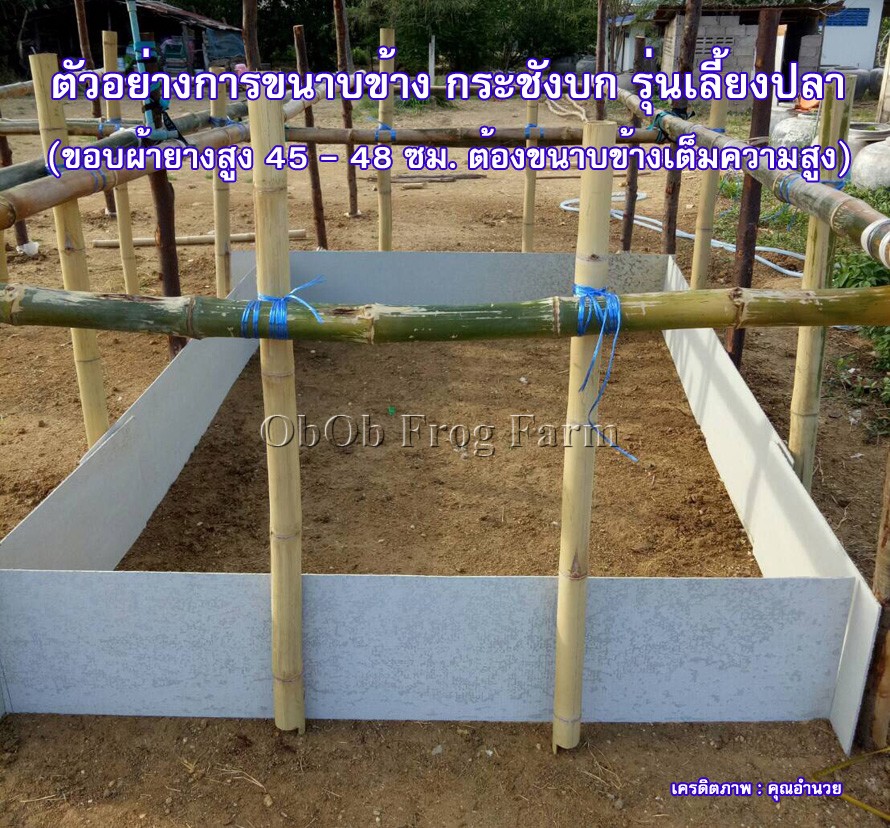 กระชังบก กระชังเลี้ยงปลา รุ่นผ้ายาง Ldpe สีดำ กัน UV แบบยกขอบ 45 ซม. หนา 0.30มิล(เน้นดี+ทน)