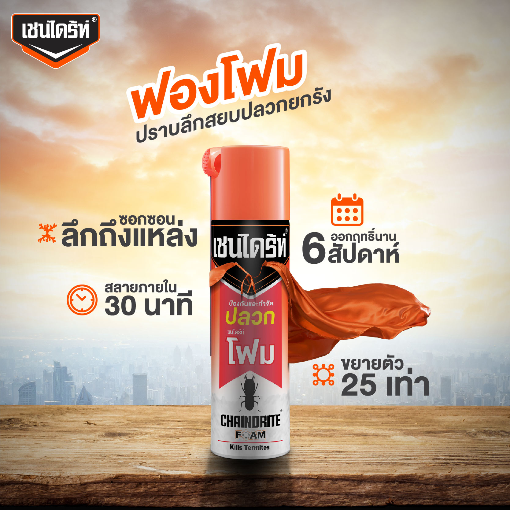 CHAINDRITE เชนไดร้ท์ **แบบโฟม** ป้องกัน กำจัดปลวก 250 มล.