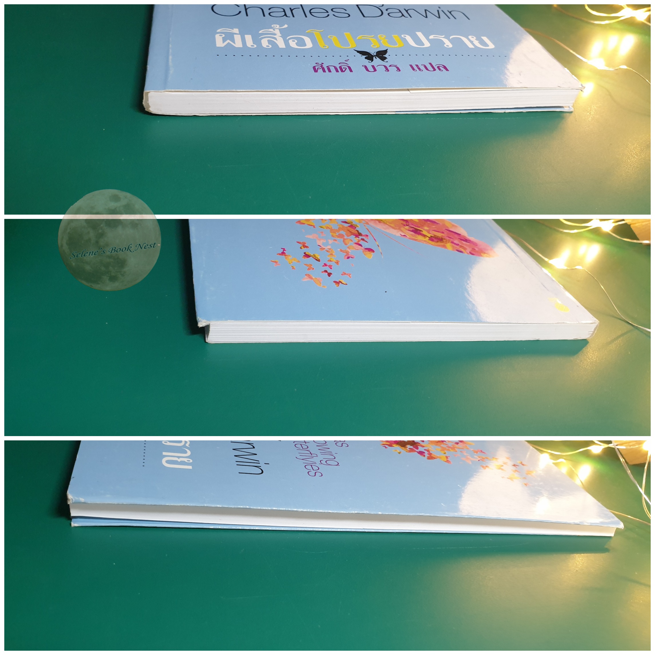 ผีเสื้อโปรยปราย (It Was Snowing Butterflies) / Charles Darwin (ชาร์ลส์ ดาร์วิน)