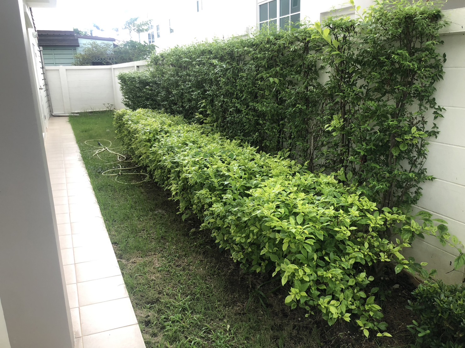 For Sales : Kohkaew, 2-storey detached house, 3 bedrooms 3 bathrooms