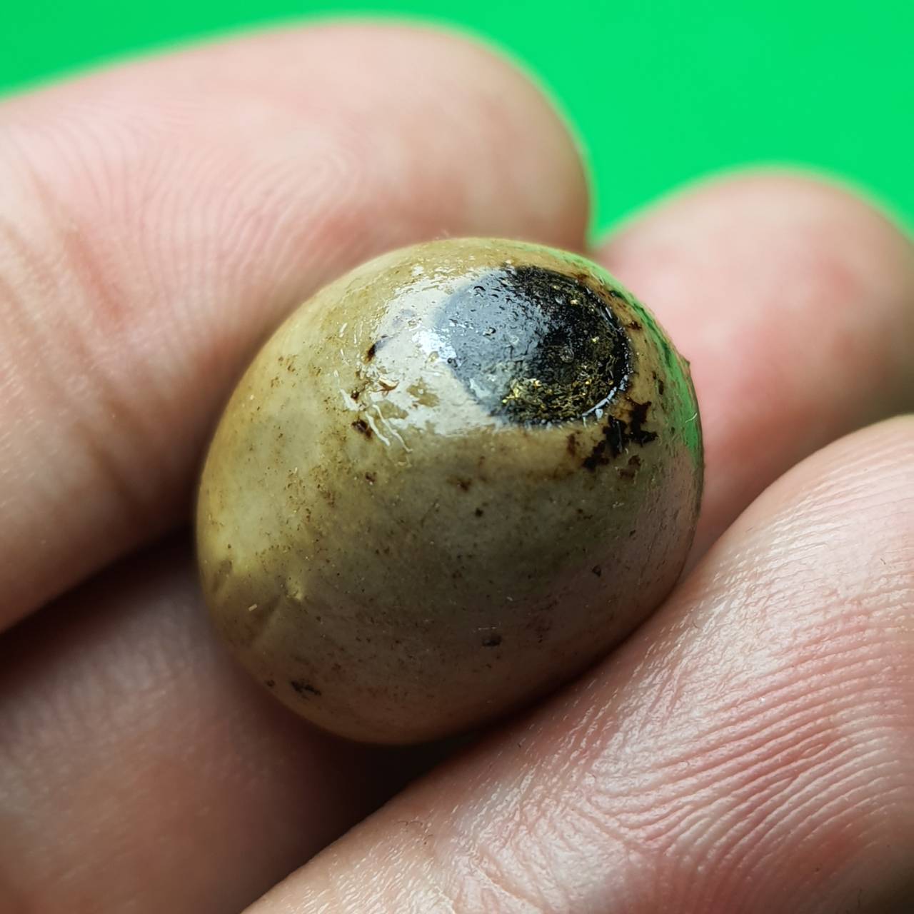 ของเสน่ห์ ชุดของเสน่ห์แรงๆ หัวใจว่านเสน่ห์สีขาว นางกวักผงว่านเสน่ห์ ลูกสวาทอุดผงว่านมหาเสน่ห์24ชนิด ค้าขายดี มหาเสน่ห์แรงๆ ให้โชคลาภ