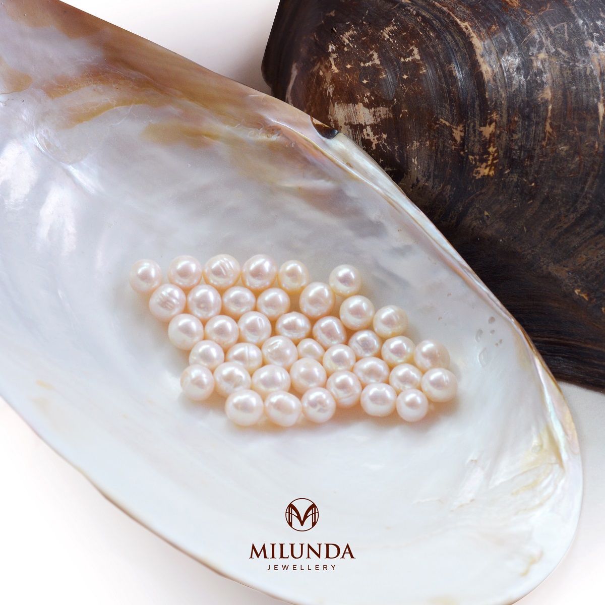 พลังเมตตามหานิยม เสริมความมั่งคั่ง