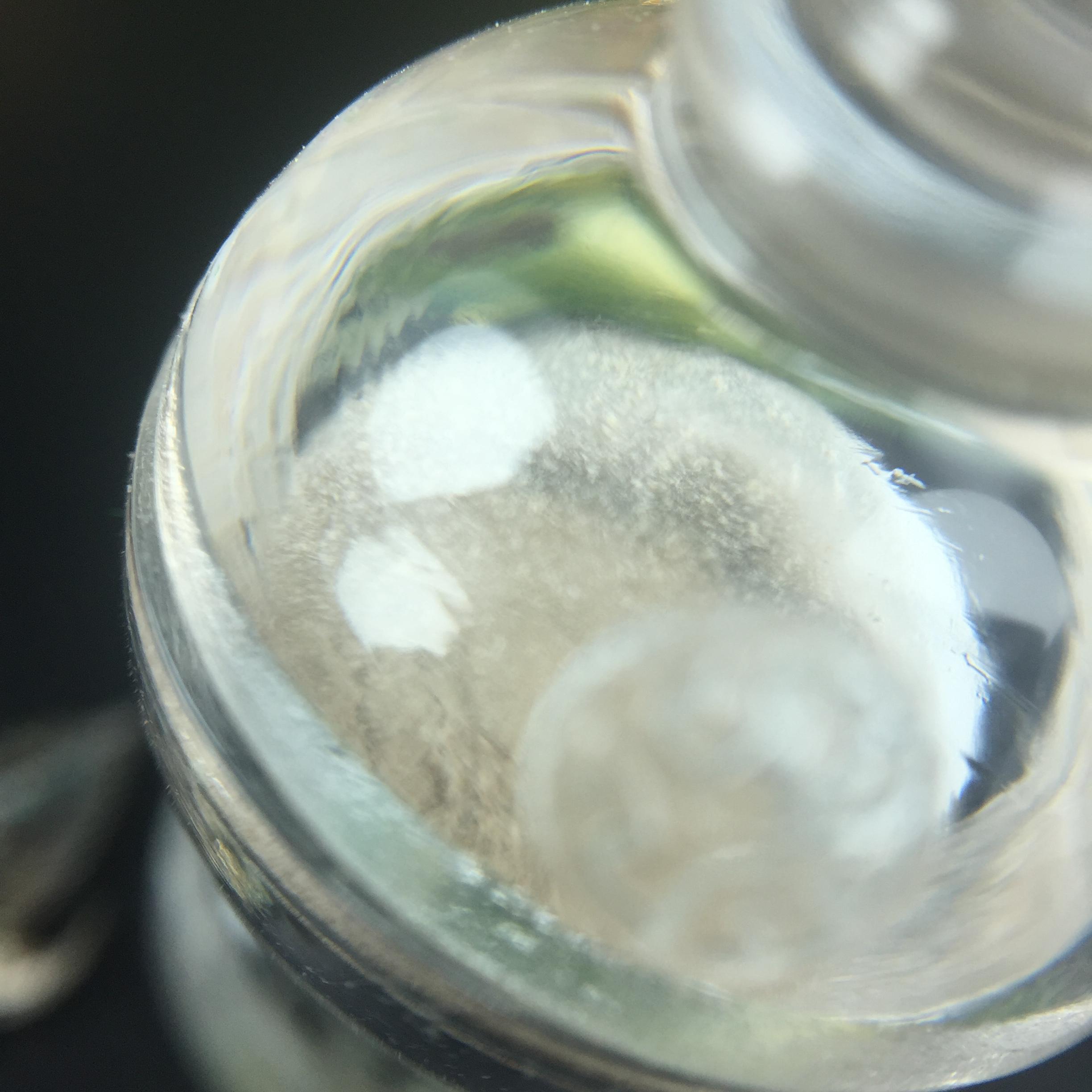 พระพุทธชินราช(จำลอง) ภปร. 84 พรรษา เนื้อเงินชุบทองคำขาว พิมพ์เล็กขนาดหน้าตัก 1/4 นิ้ว (สภาพผิวเดิมสวย ขึ้นสีรุ้งธรรมชาติ แบบนิยม)(พระราชทานมวลสาร จิตรลดาและเส้นพระเจ้า(เส้นผม))