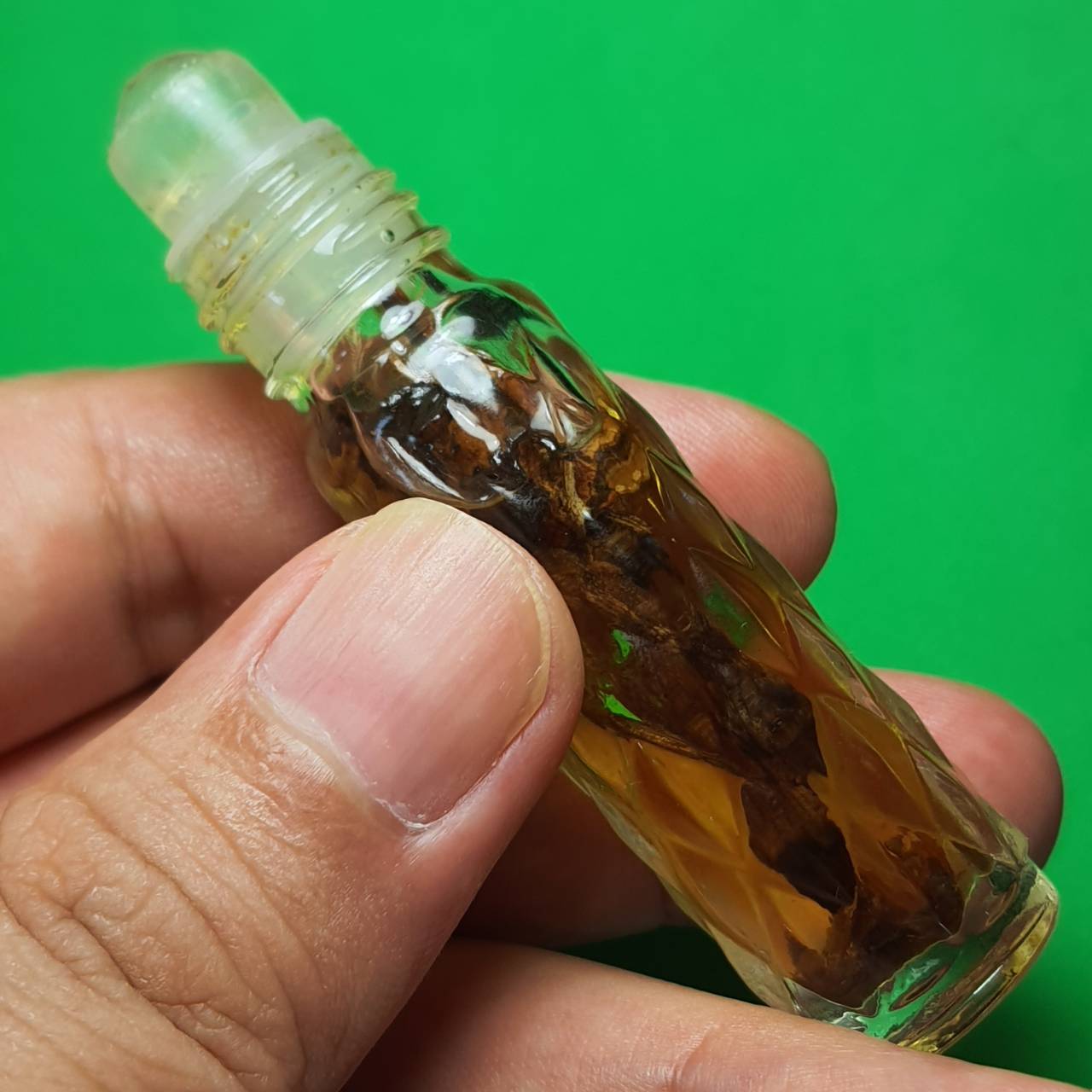 ของเสน่ห์ น้ำมันว่านสาวหลง น้ำมันเถาหลงตัวผู้ น้ำมันเถาหลงตัวเมีย น้ำมันว่านแท้ เถาหลง เถาวัลย์หลงแท้ ว่านเถาหลง เถาวัลย์หลง