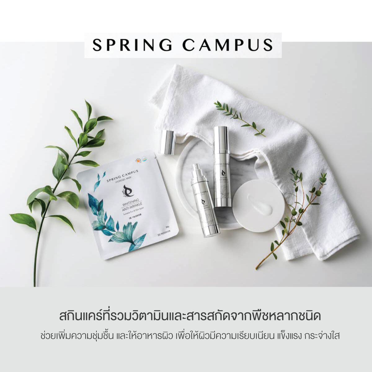 ครีมบำรุงผิวหน้า Spring Campus Skin base นำเข้าจากเกาหลีใต้