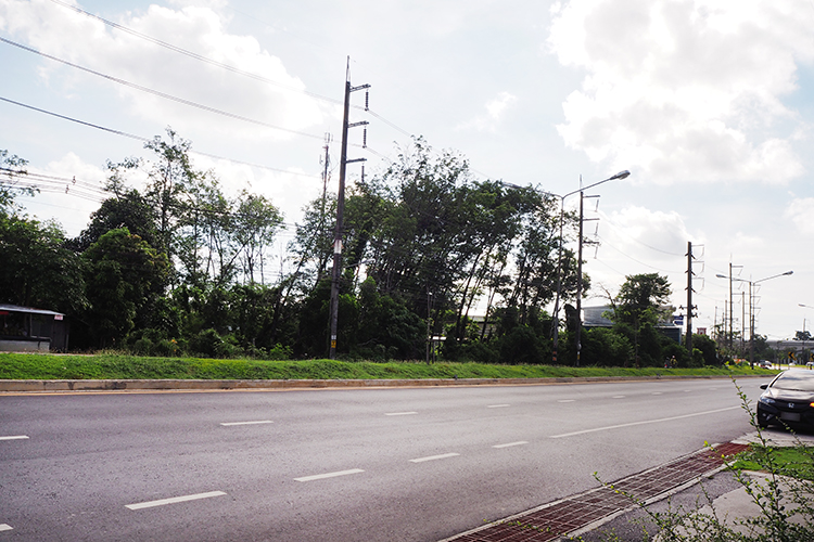 For Sale : Kathu twin house 3 bedroom 2 bathroom near Kajornkiat international school.