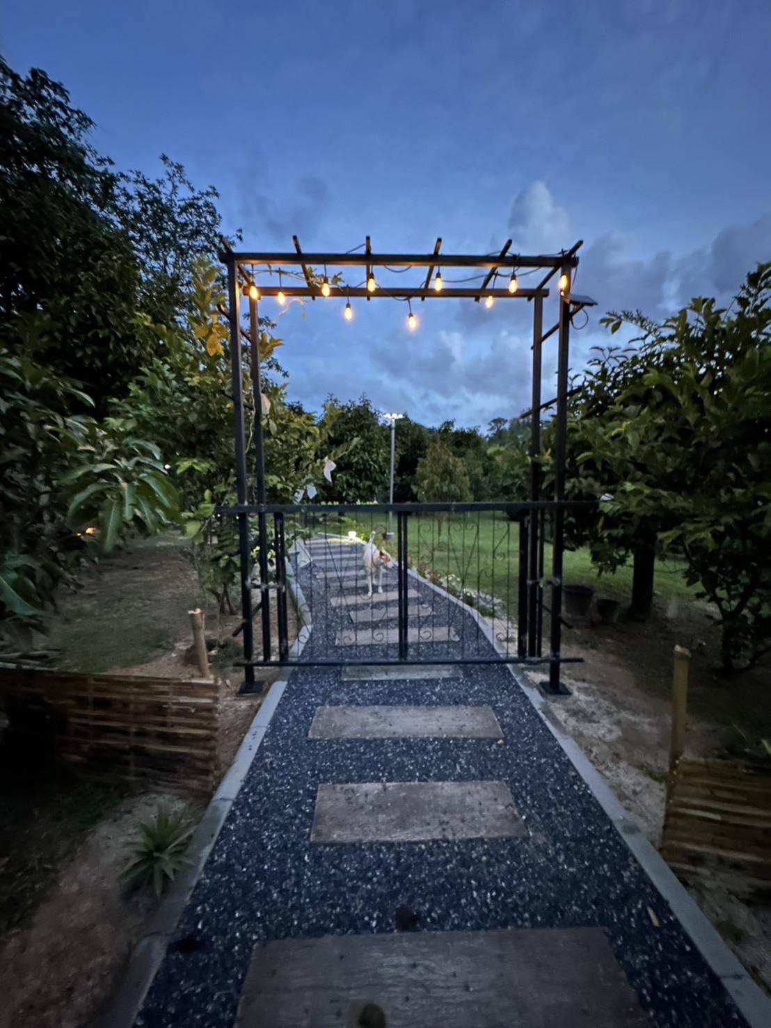 For Rent : Thalang, Single-storey detached house, 2 bedrooms 2 bathrooms