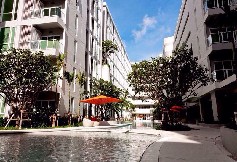 Wichit : Condominium 1Bed room The Base Down Town Phuket For Rent