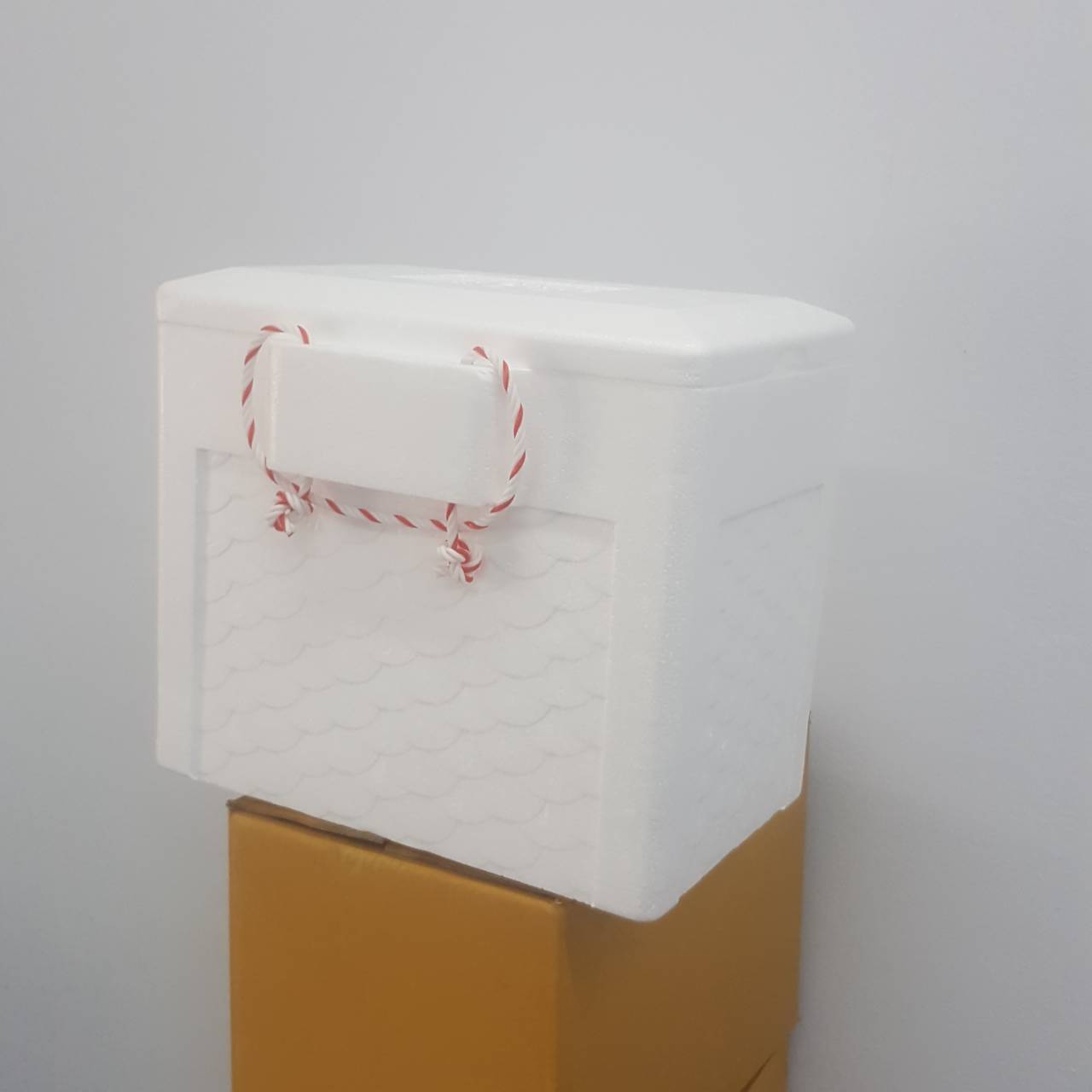 กล่องโฟมปิคนิค#445