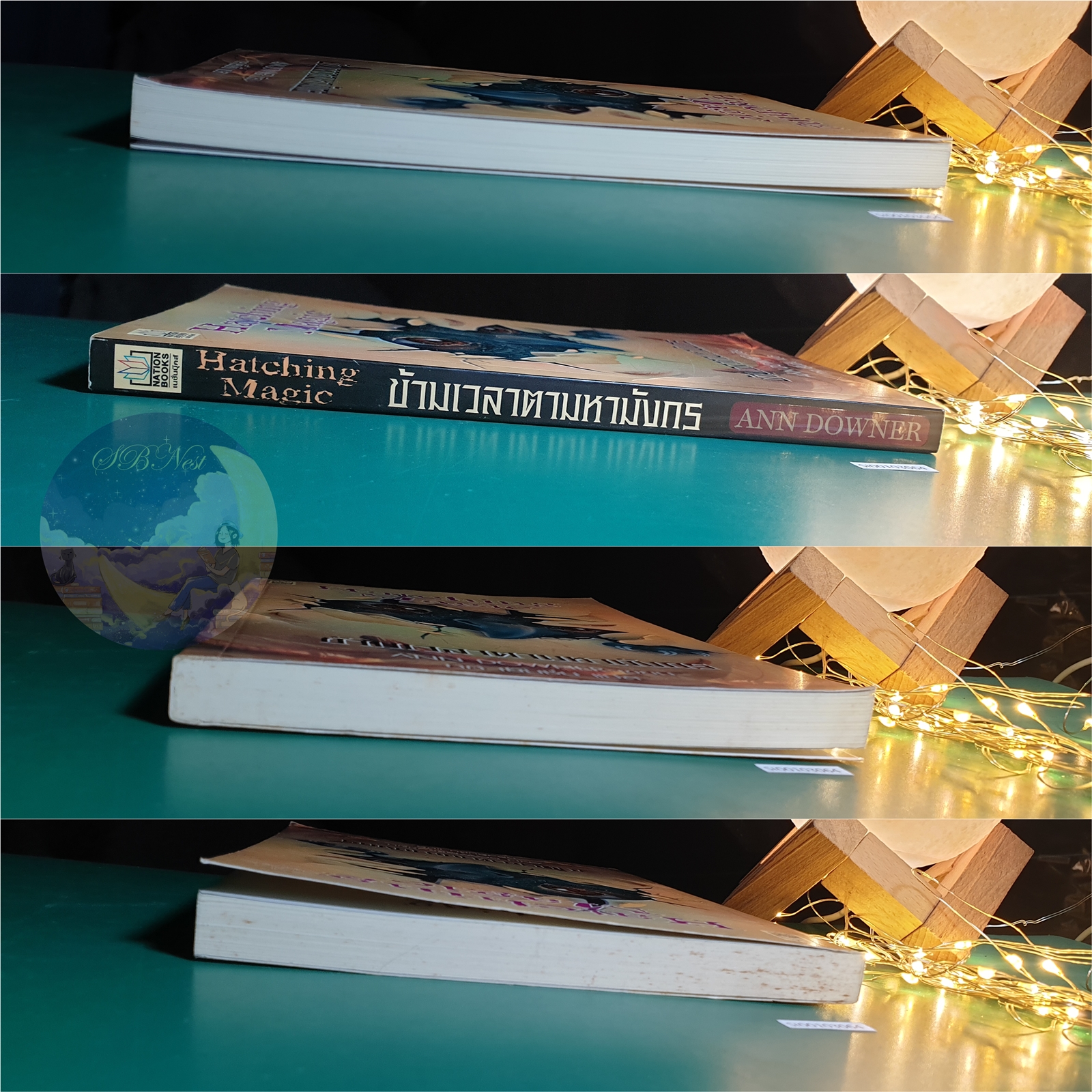 ข้ามเวลาตามหามังกร (Hatching Magic) / Ann Downer