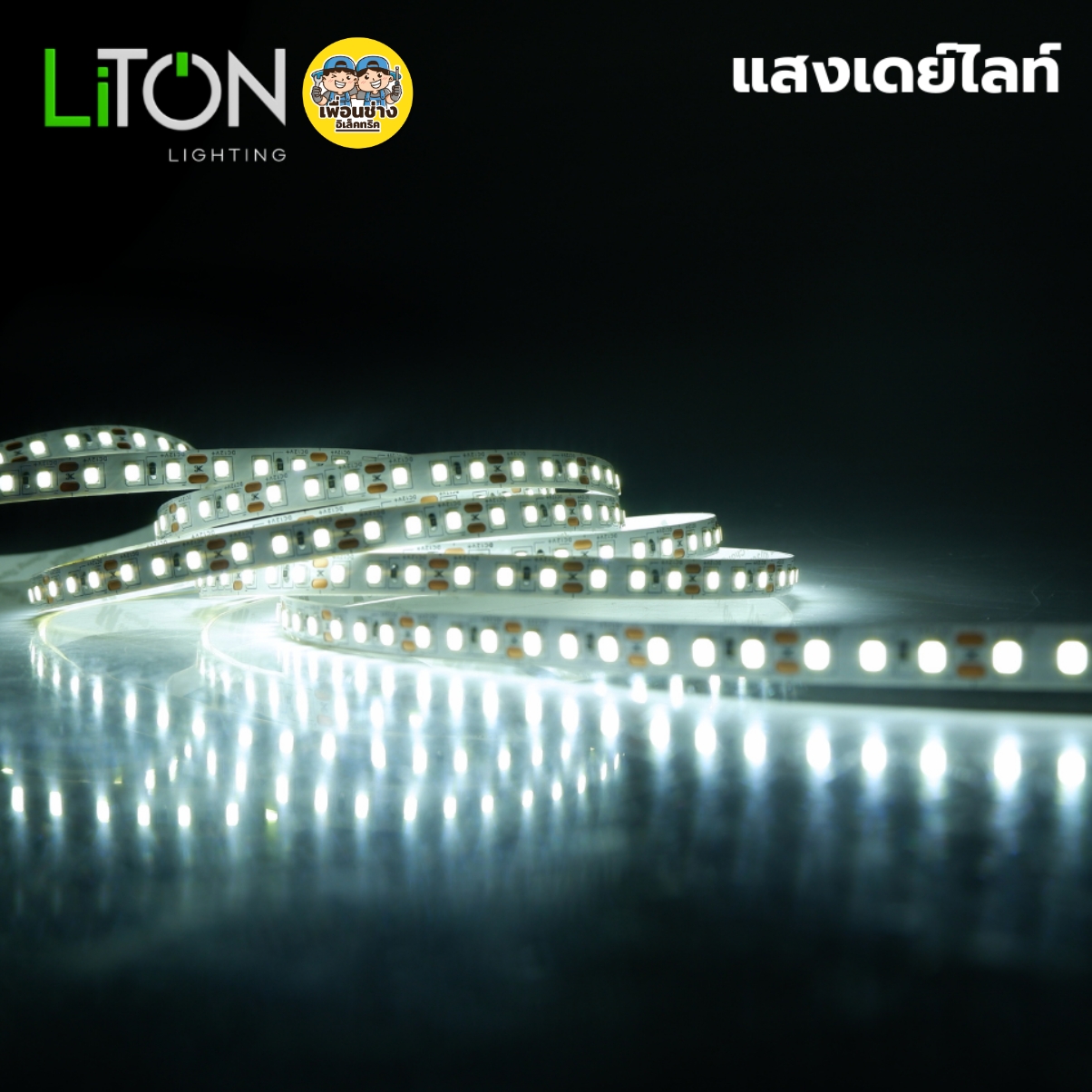 LiTON ไฟเส้น DC LED 12V SMD 2835 รุ่น Spectrum 10W สายยาว 5 เมตร IP20 สีเดียว มี3แสงให้เลือก แสงขาว แสงวอร์มไวท์ แสงคูลไวท์