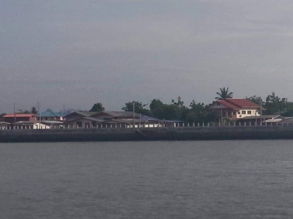 For Sales : Land on the Chao Phraya River, 2 Rai