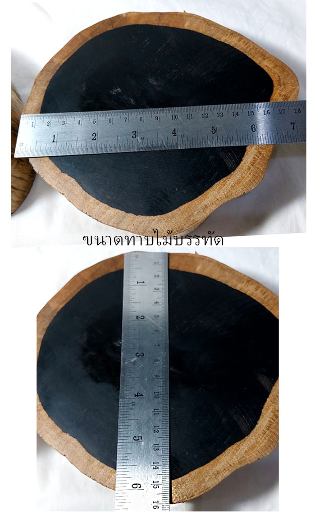 ฐานไม้มะเกลือแอฟริกันหนา5cm-T2797B-