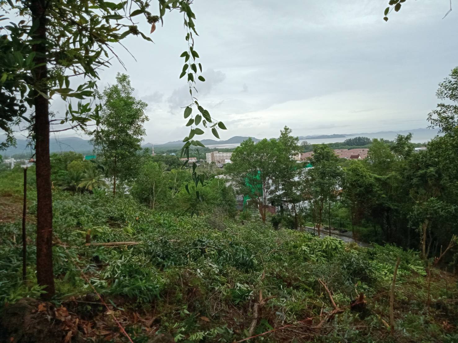 For Sales : Land Kathu, Near Phumontra , 323 Sq.w.