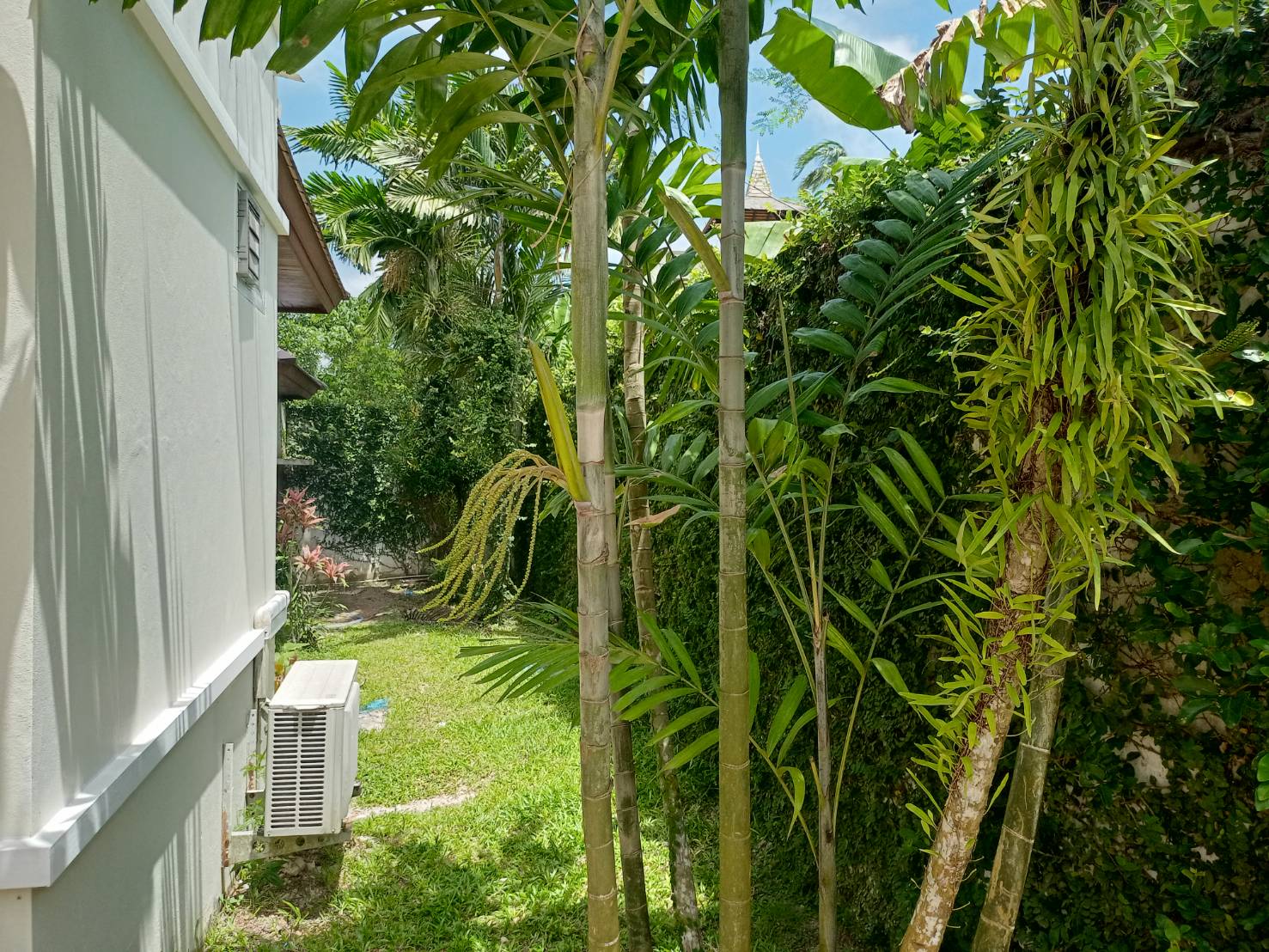 For Sale : Layan Private Pool villa , 3 bedrooms, 3 bathrooms