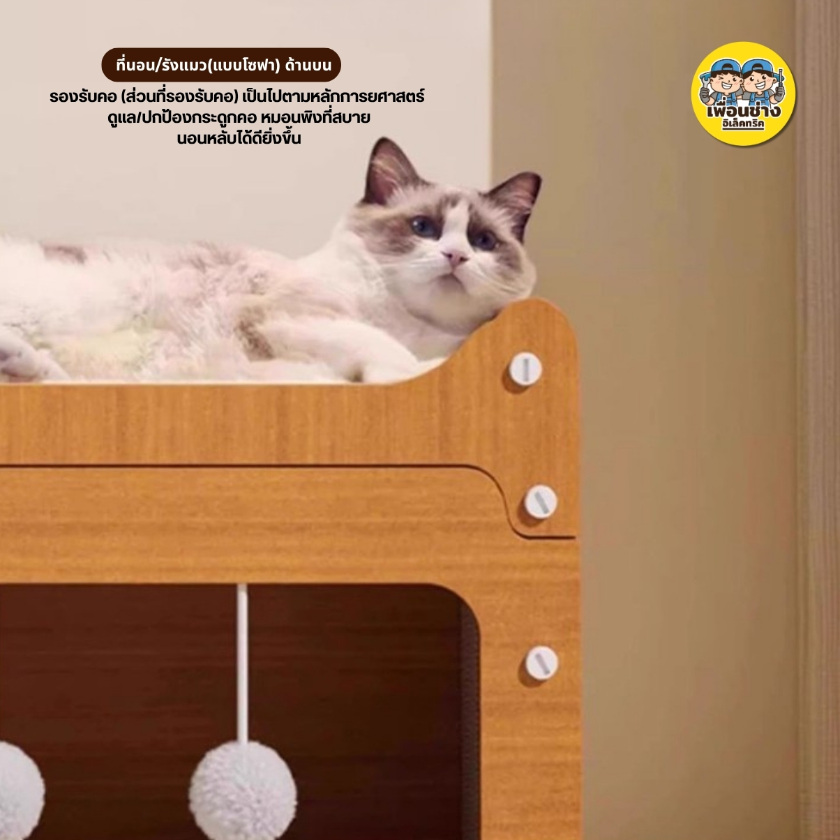 บ้านแมว สไตล์ญี่ปุ่น ลายไม้ *ไม่มีพรม* บ้านแม้วกระดาษ Cat House มีที่ลับเล็บแมว คอนโดแมว