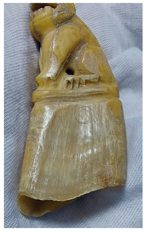 เขี้ยวหมูป่าแกะเสือ--T2580-B