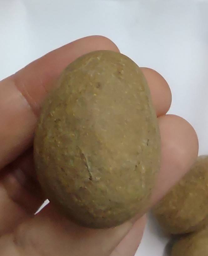 หมากไม้มณีโคตร ขนาด 3-4 ซม.(คละแบบคละขนาด)