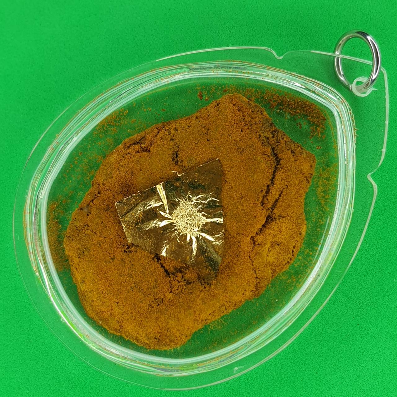 ของนำโชค รกแมว รกแมวของแท้ รกแมว รกแมวแท้