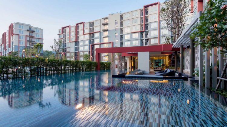For Rent : Dcondo Kathu Patong 6th 1 Bedroom 1 Bathroom