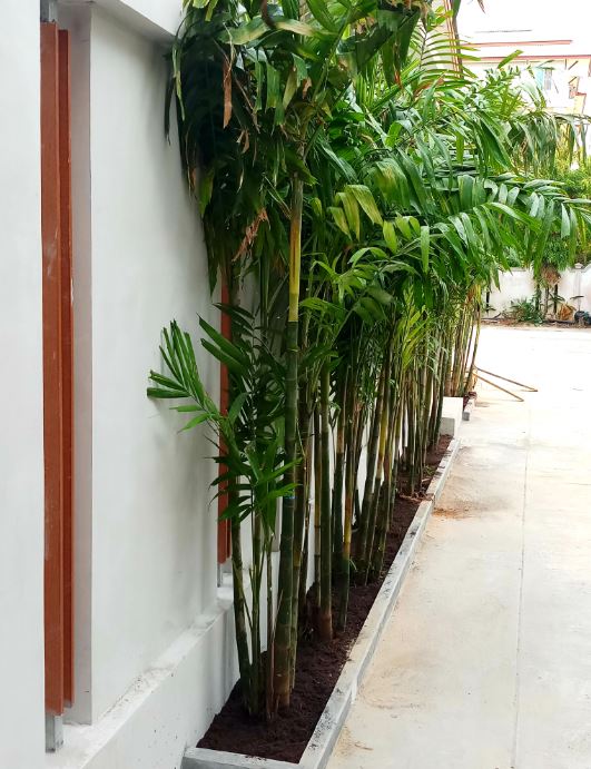 For Sale : Nai Harn, luxury Private Pool Villa, 2 bedrooms 2 bathrooms. 129 SQ.M.