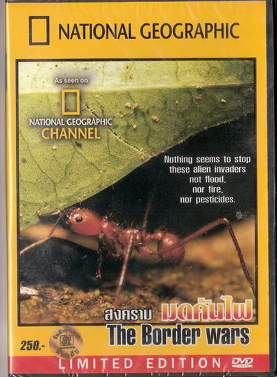 สงครามมดคันไฟ The Border Wars สารคดีระดับโลกจาก National Geographic - DVD