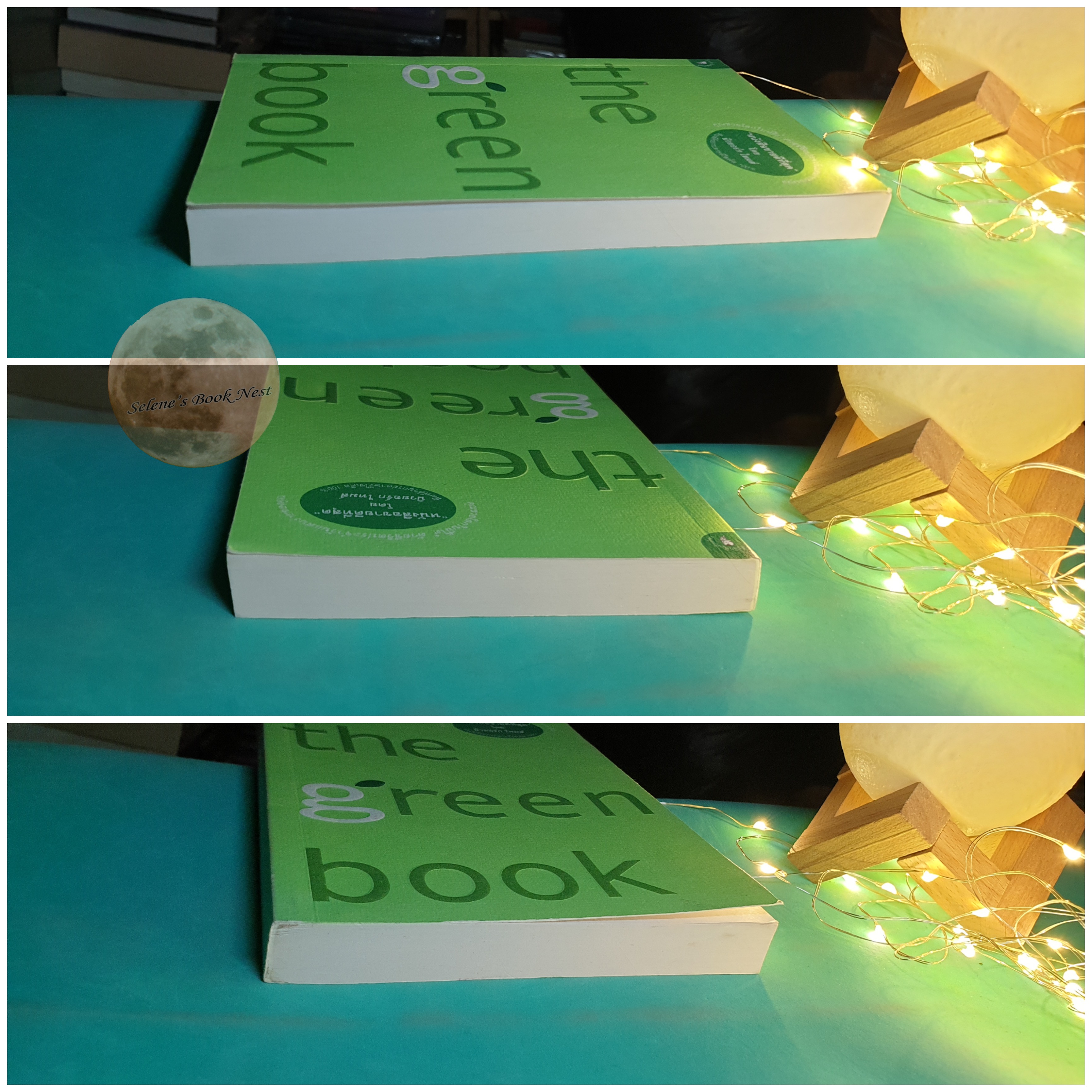 The Green Book : The Everyday Guide to Saving the Planet One Simple Step at a Time / Elizabeth Rogers, Thomas Kostigen