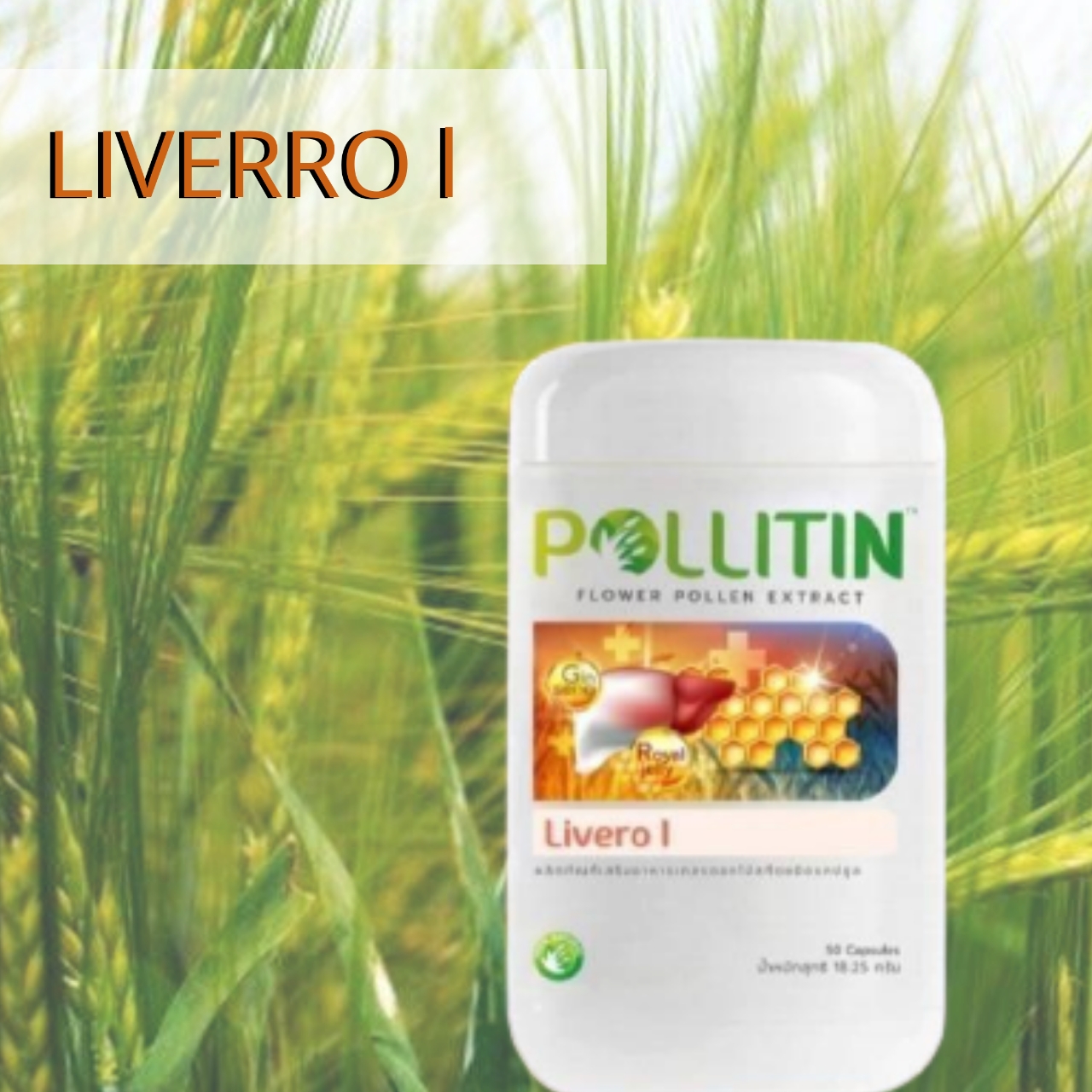 Riverro l ริเวอร์โร่วัน ตับอักเสบ