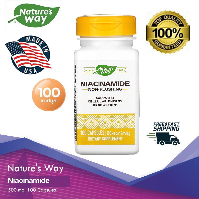 Nature's Way, Niacinamide, 500 mg, 100 Capsules