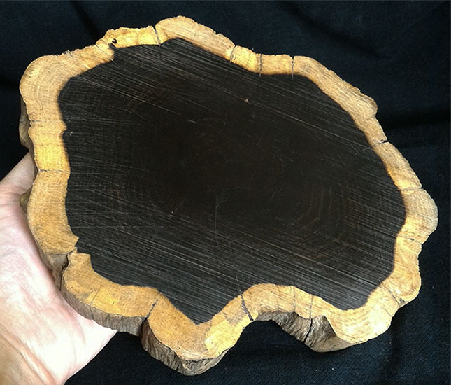 ฐานไม้มะเกลือ(African Ebony) หนา3cm แบบที่2(ตัวอย่าง)