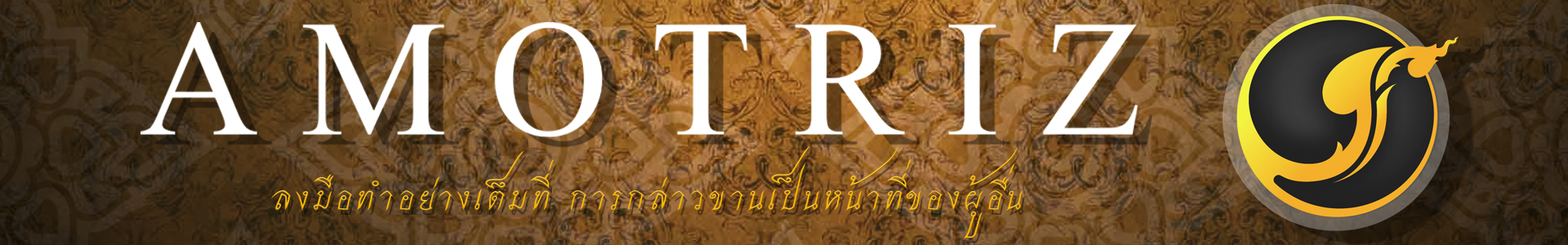 ชุดแต่งรถยนต์ AmotriZ