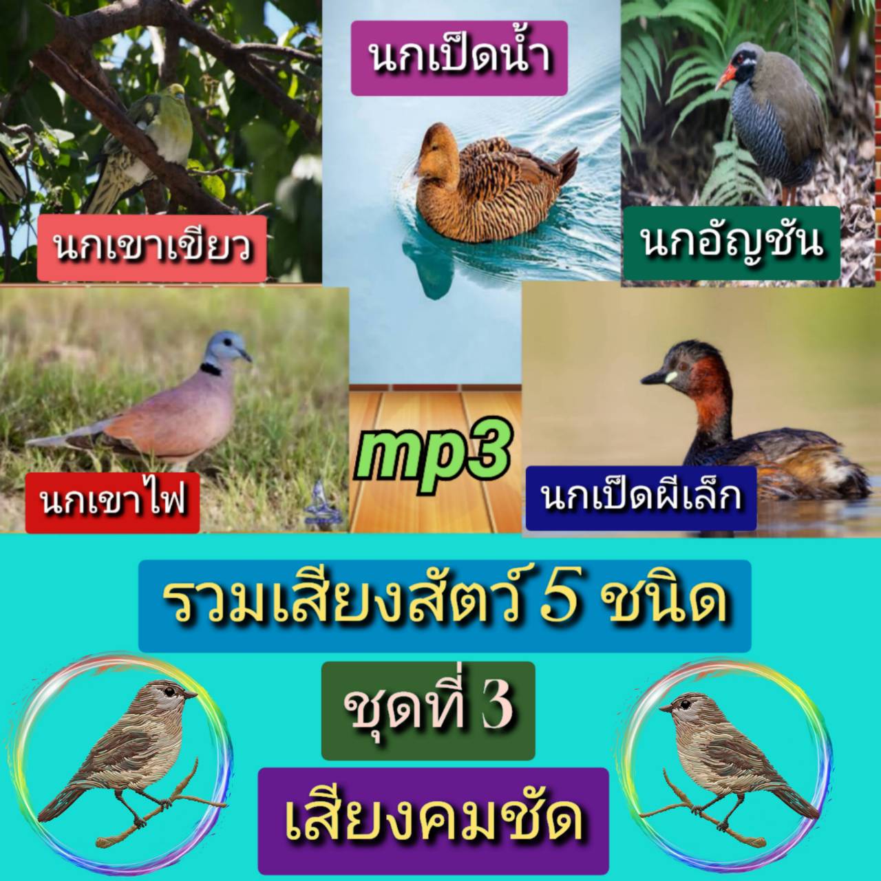 [พรเทวะ] แฟลชไดร์ฟ Mp3 เสียงธรรมชาติ รวมเสียงสัตว์ 5 ชนิด ชุดที่ 3 เสียงคมชัด ความยาวเสียงละ 1-2 ชั่วโมง Mp3 รวมเสียงสัตว์ 5 ชนิด ชุดที่ 3 เสียงคมชัด 1. นกเขาเขียว 2.นกเขาไฟ 3.นกเป็ดน้ำ 4.นกเป็ดผีเล็ก 5.นกอัญชัน ใช้กับเครื่องเล่น USB/mp3 ทุกชนิดหรือเปิดฟั