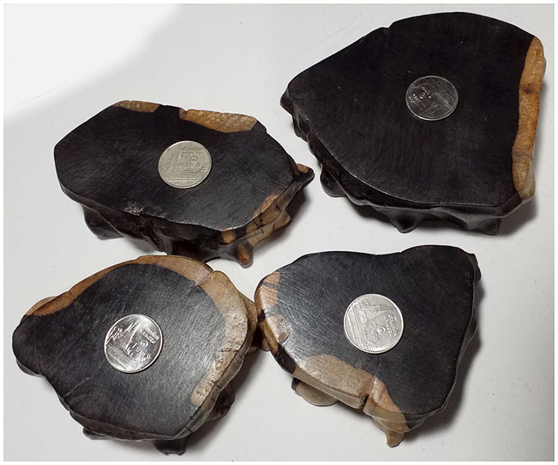 ฐานไม้มะเกลือ(African Ebony)ตัวอย่าง