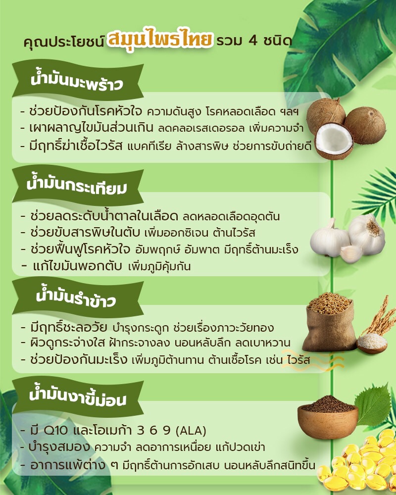 ดีดีน่า 2 แถม 2 น้ำมันรวม 4 ชนิด บรรจุ 500 เเคปซูล จำนวน 2 ขวด แถม 60 แคปซูล 2 ขวดเล็ก