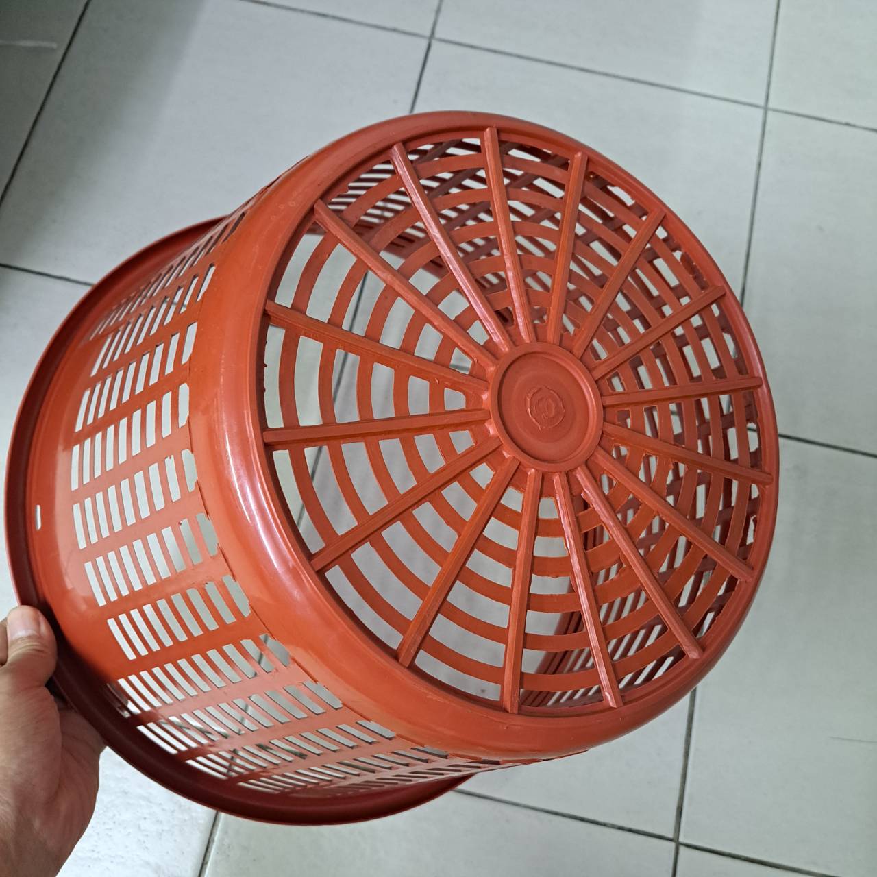 หลัวองุ่น 055