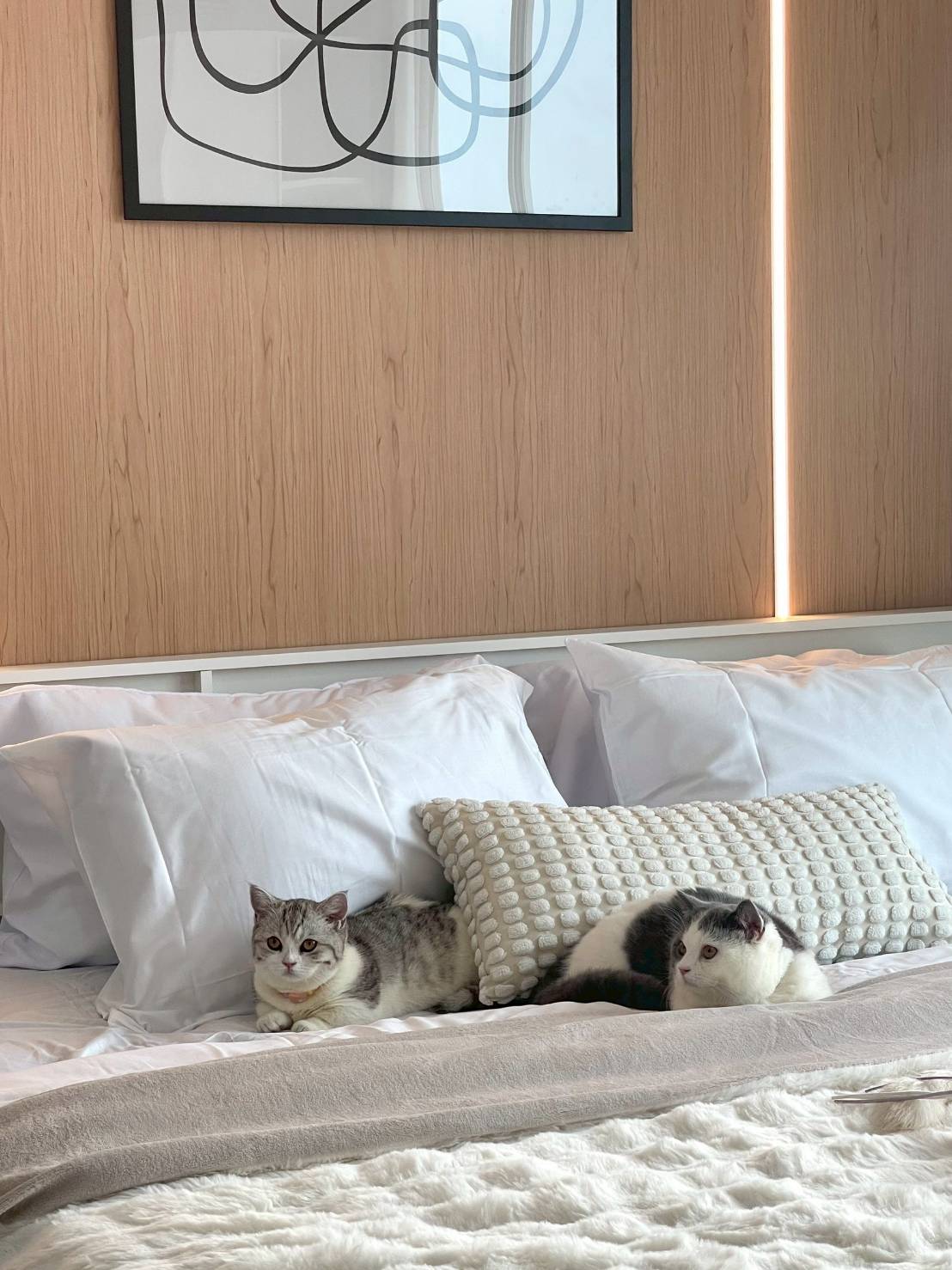 For Sales: Wichit, The Best Point Panwa, 1 Bedroom 1 Bathroom, 4th flr.