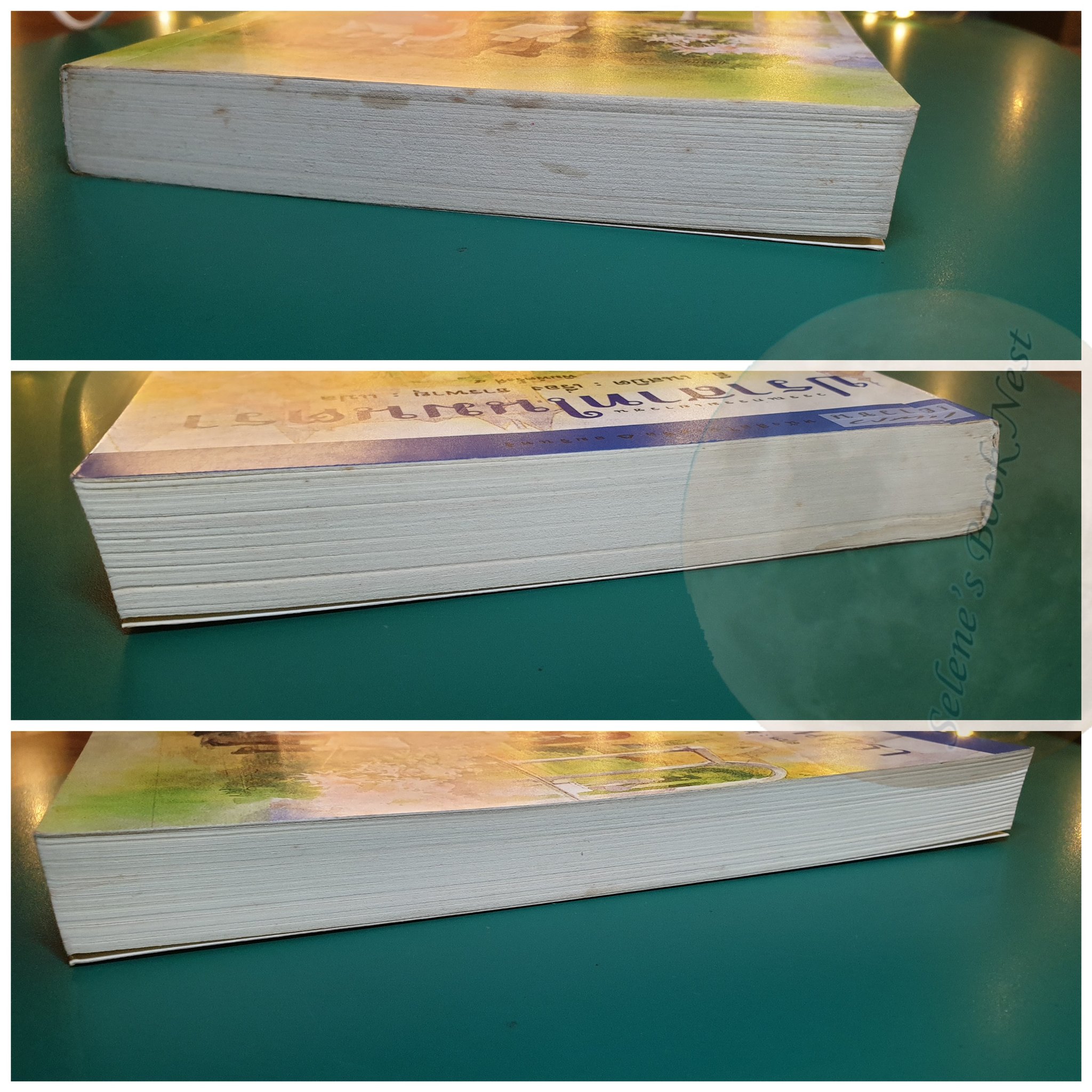 ปราสาทในมนตรา (The Enchanted Castle) / E. Nesbit (อี. เนสบิต)