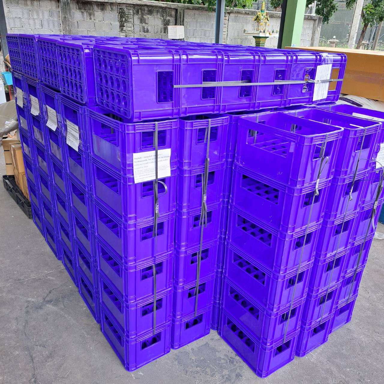 ลังน้ำดื่ม 24 ช่อง 003 A