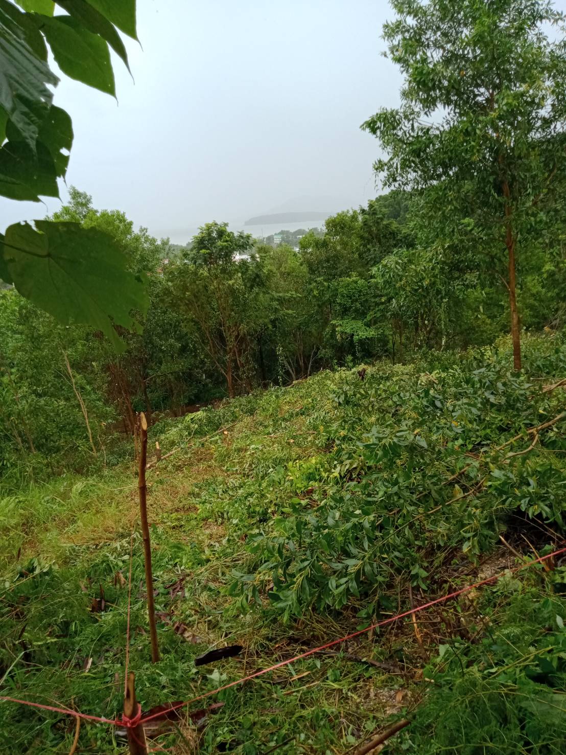 For Sales : Land Kathu, Near Phumontra , 323 Sq.w.